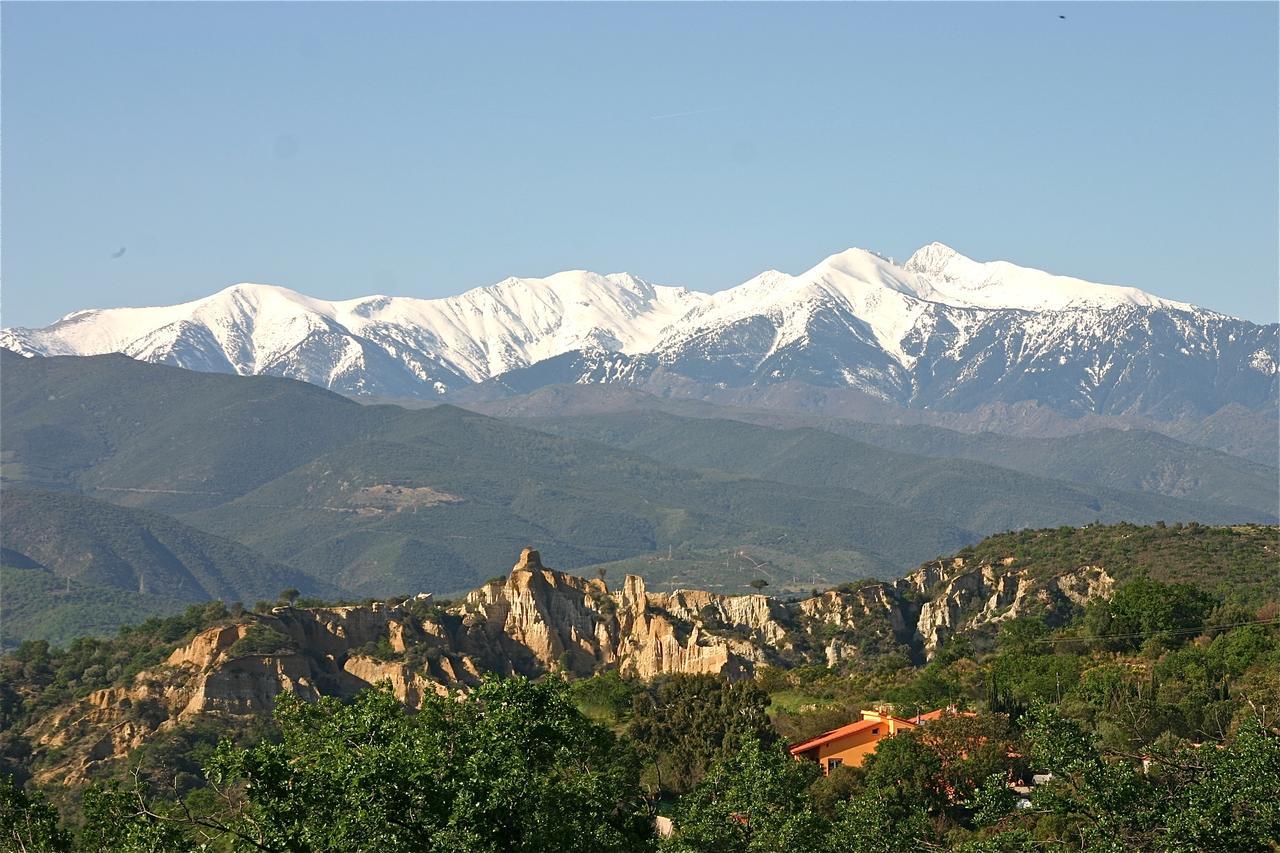 Gite Des Orgues De La Sybille Agave Canigou מראה חיצוני תמונה