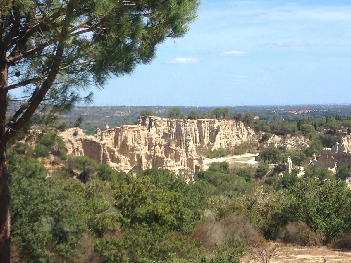 Gite Des Orgues De La Sybille Agave Canigou מראה חיצוני תמונה