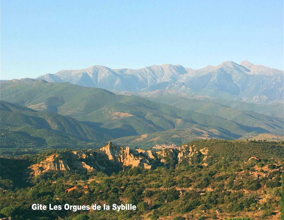 Gite Des Orgues De La Sybille Agave Canigou מראה חיצוני תמונה